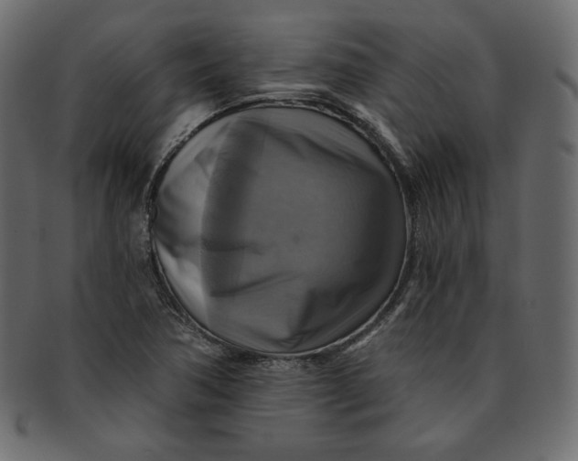 X0000091851362200709261159