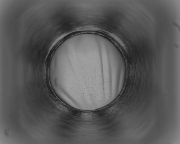 X0000091851364200709261159