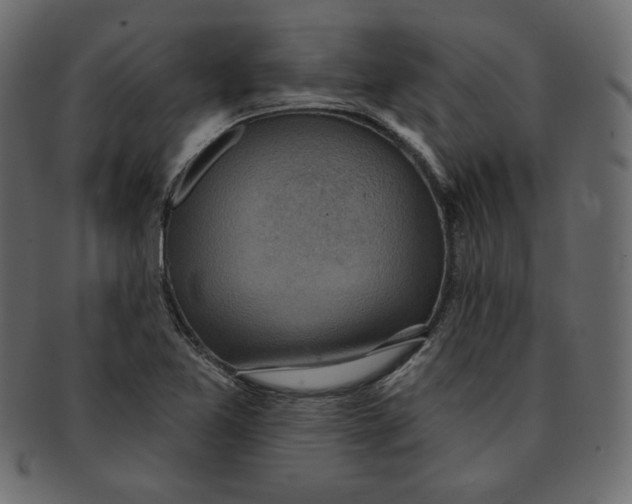 X0000091851365200709261159