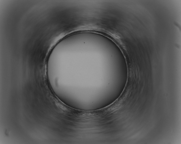 X0000091851366200709261159