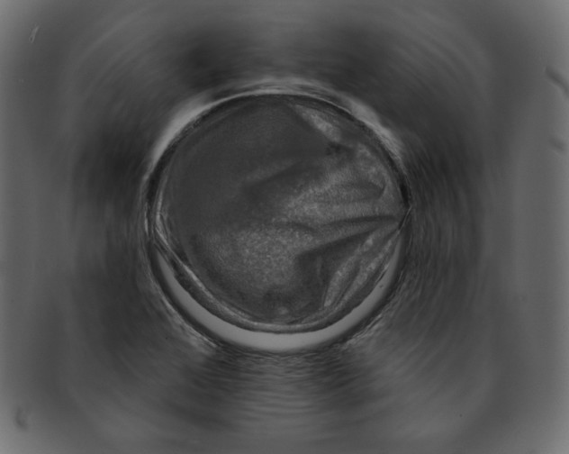 X0000091851368200709261159