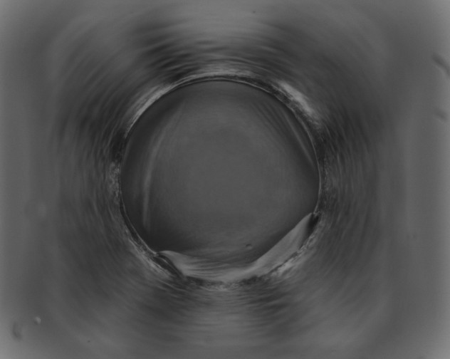 X0000091851369200709261159