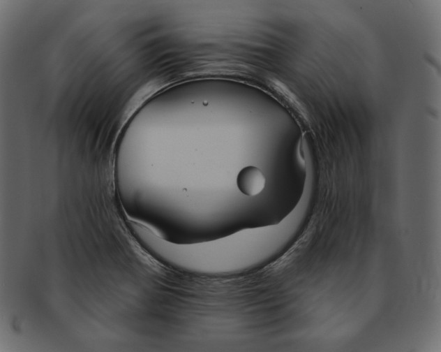 X0000091851370200709261159