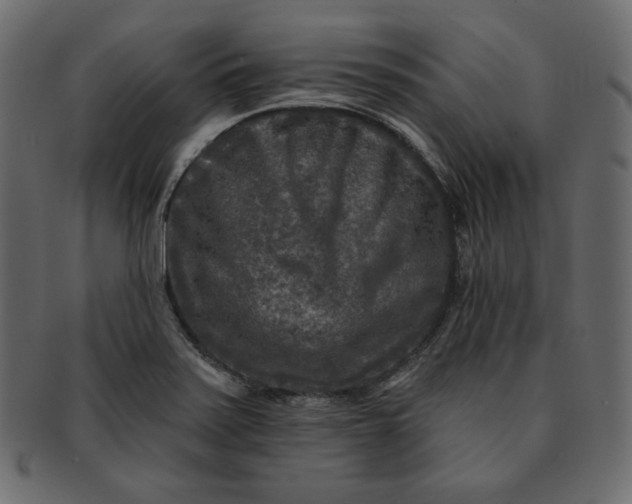 X0000091851371200709261159