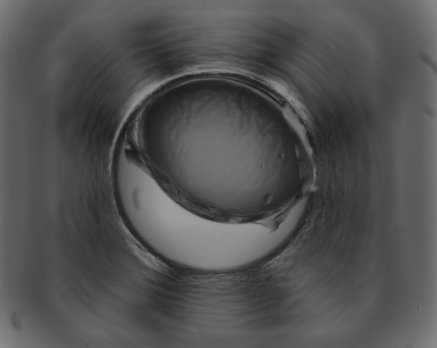 X0000091851372200709261159