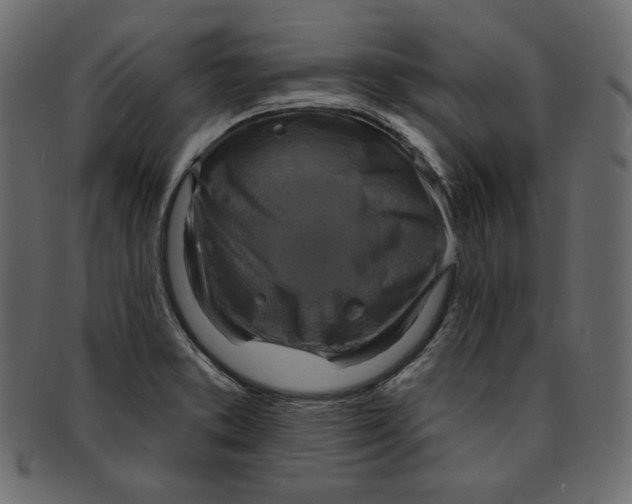 X0000091851373200709261159