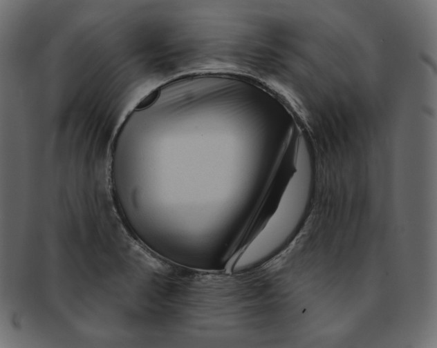 X0000091851374200709261159