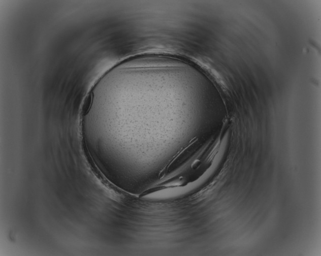 X0000091851375200709261159