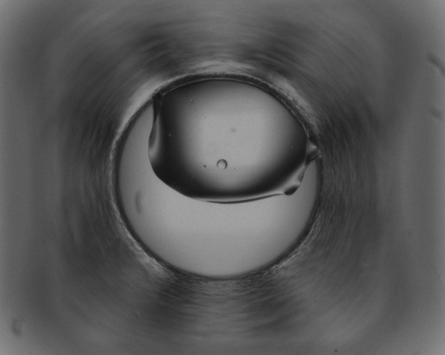 X0000091851376200709261159