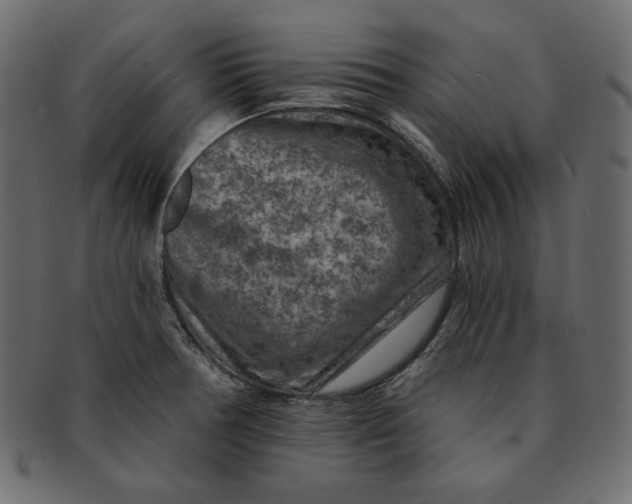 X0000091851378200709261159