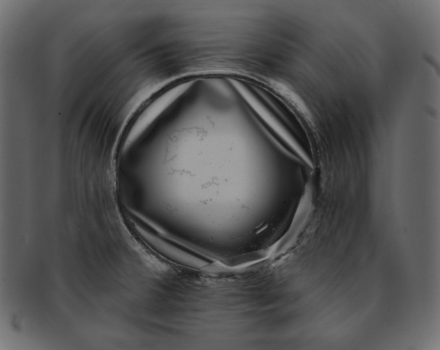 X0000091851380200709261159