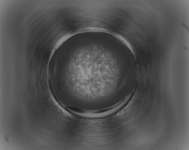 X0000091851381200709261159