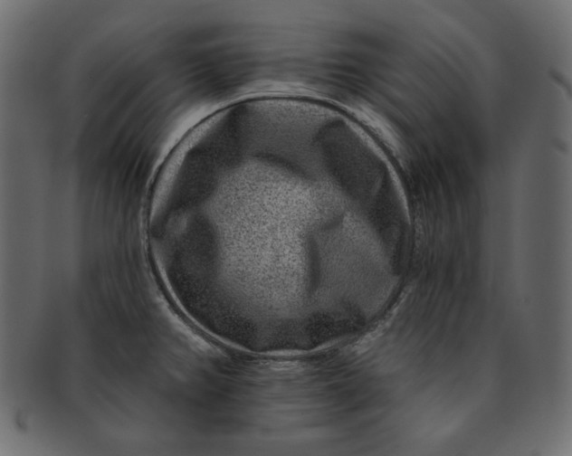 X0000091851382200709261159