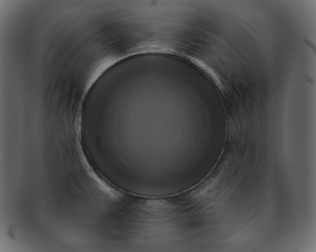 X0000091851383200709261159