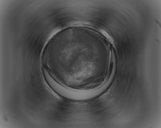 X0000091851384200709261159