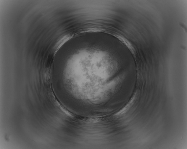 X0000091851385200709261159