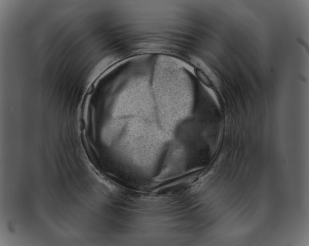 X0000091851386200709261159