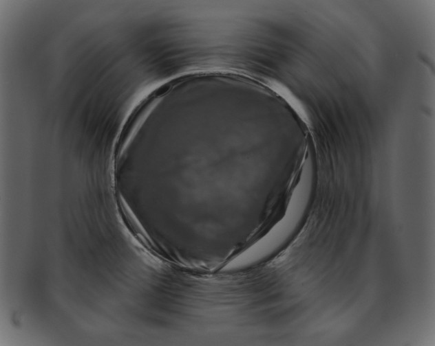 X0000091851388200709261159