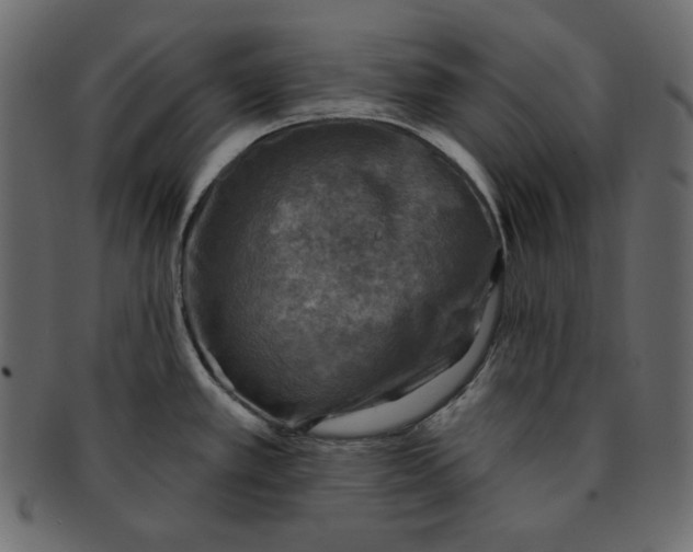 X0000091851389200709261159