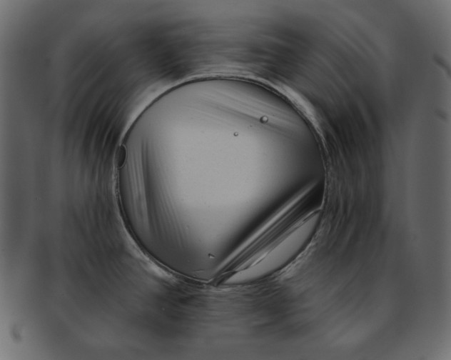 X0000091851390200709261159