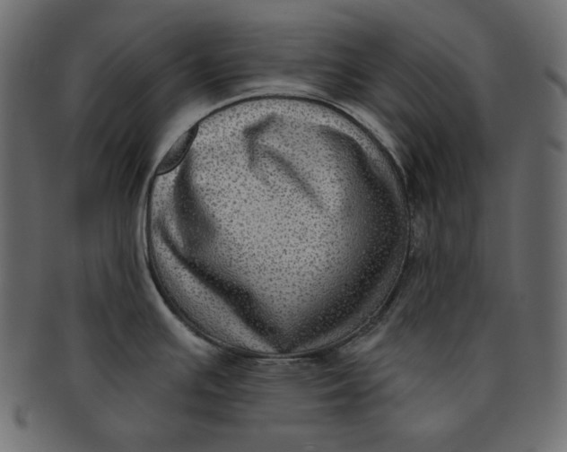 X0000091851391200709261159