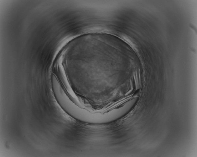 X0000091851392200709261159