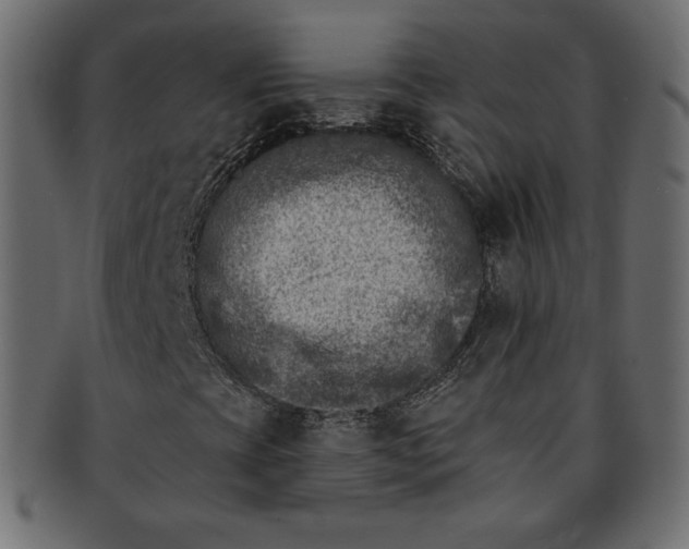 X0000091851393200709261158