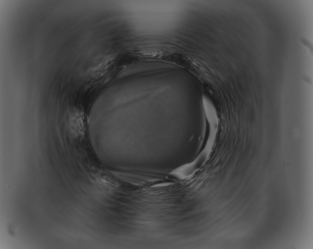 X0000091851394200709261158