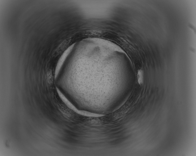 X0000091851395200709261158