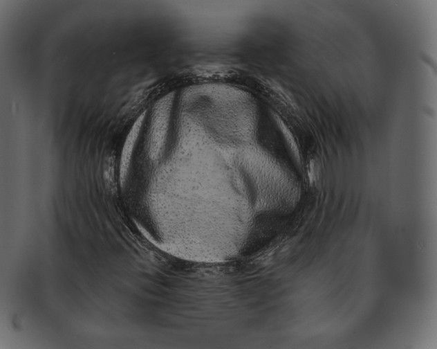 X0000091851396200709261158