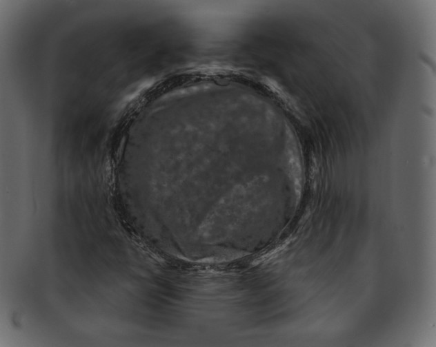 X0000091851398200709261158