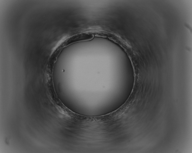 X0000091851400200709261158