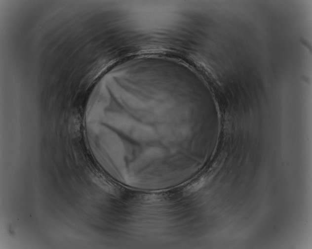 X0000091851401200709261158