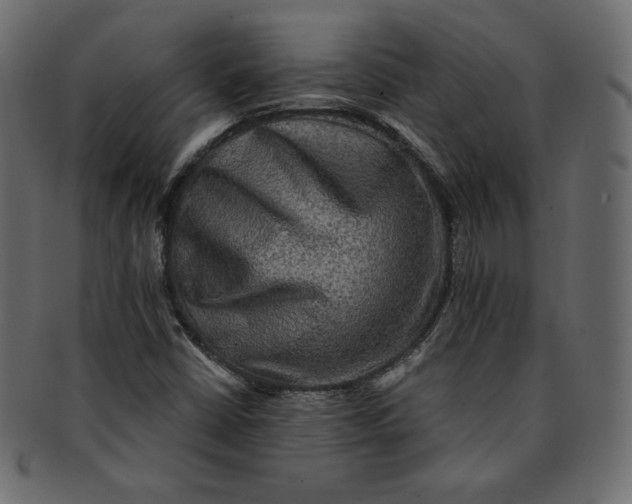 X0000091851402200709261158