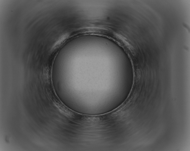 X0000091851403200709261158