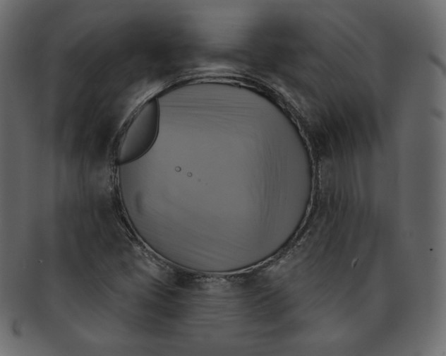 X0000091851405200709261158