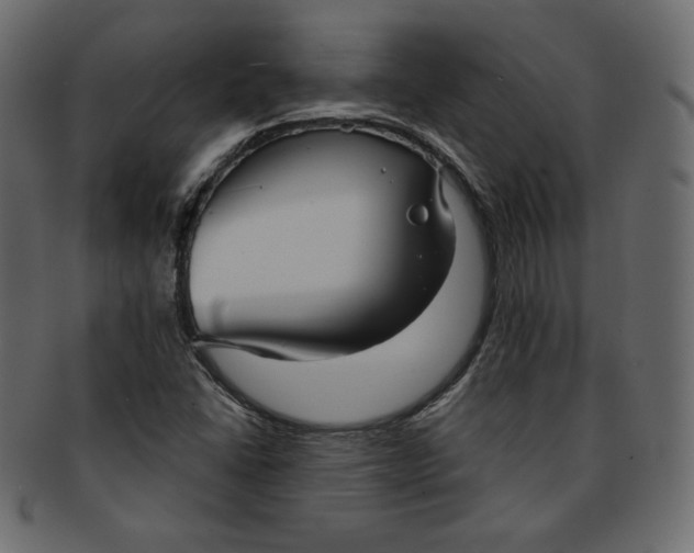 X0000091851406200709261158