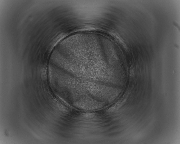 X0000091851409200709261158