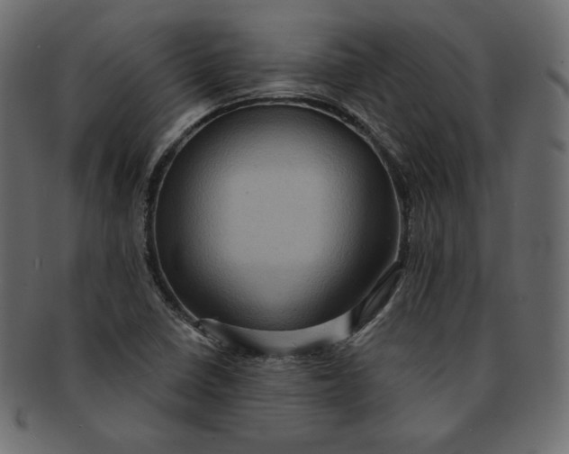 X0000091851410200709261158