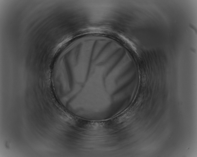 X0000091851411200709261158