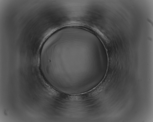 X0000091851413200709261158