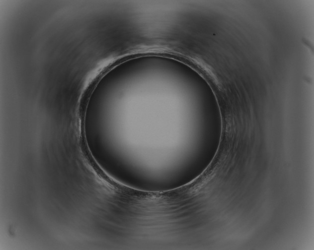 X0000091851414200709261158