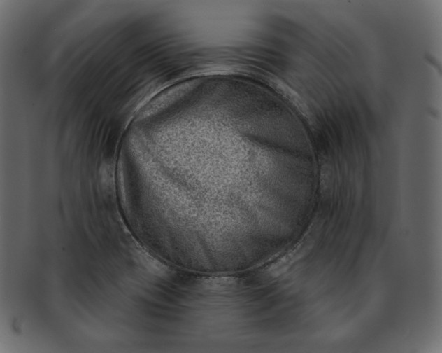 X0000091851417200709261158