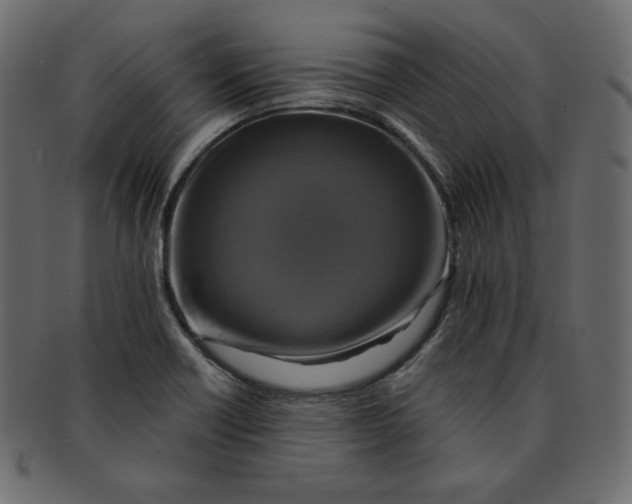 X0000091851418200709261158