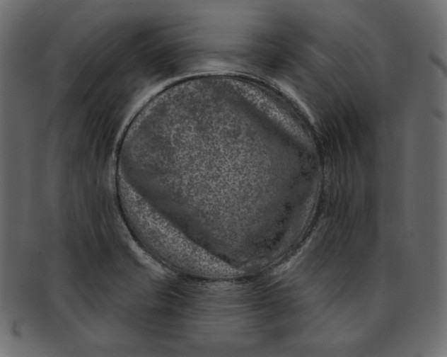 X0000091851421200709261158