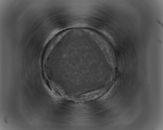 X0000091851422200709261158