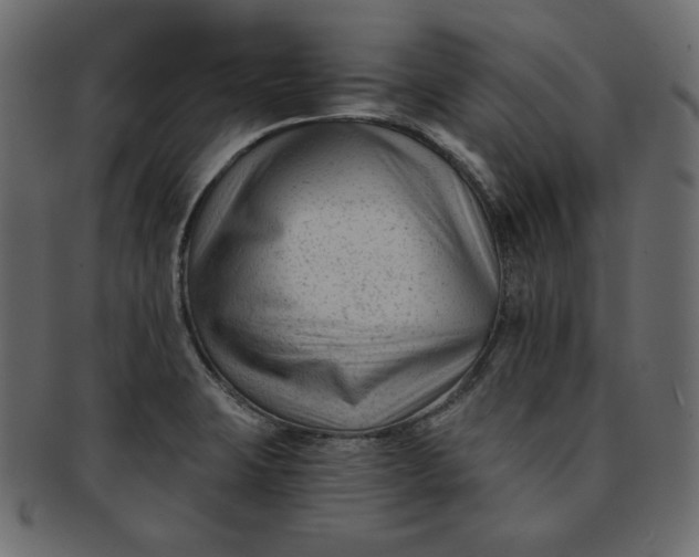 X0000091851423200709261158