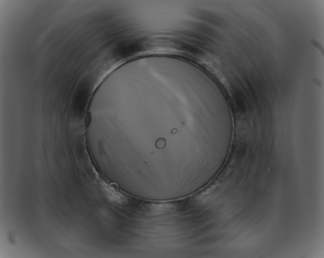 X0000091851425200709261158