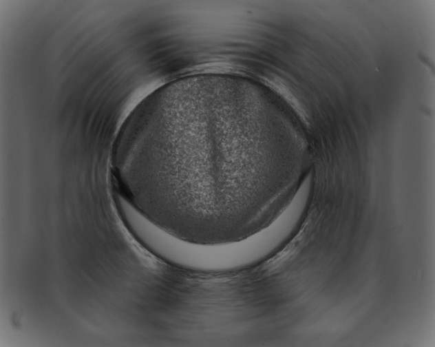 X0000091851426200709261158