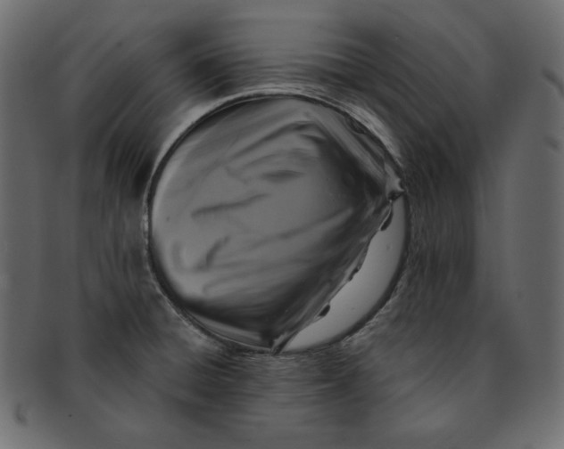 X0000091851428200709261159